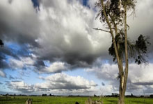 全英羽毛球赛次圈 骆建佑迎战香港伍家朗.