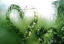 [图]詹姆斯42000分里程碑 湖人三巨头合砍85分胜灰熊.