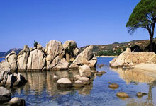 42岁黄圣依跑马拉松，高马尾配短裙，站在赵雅芝身边像20岁.